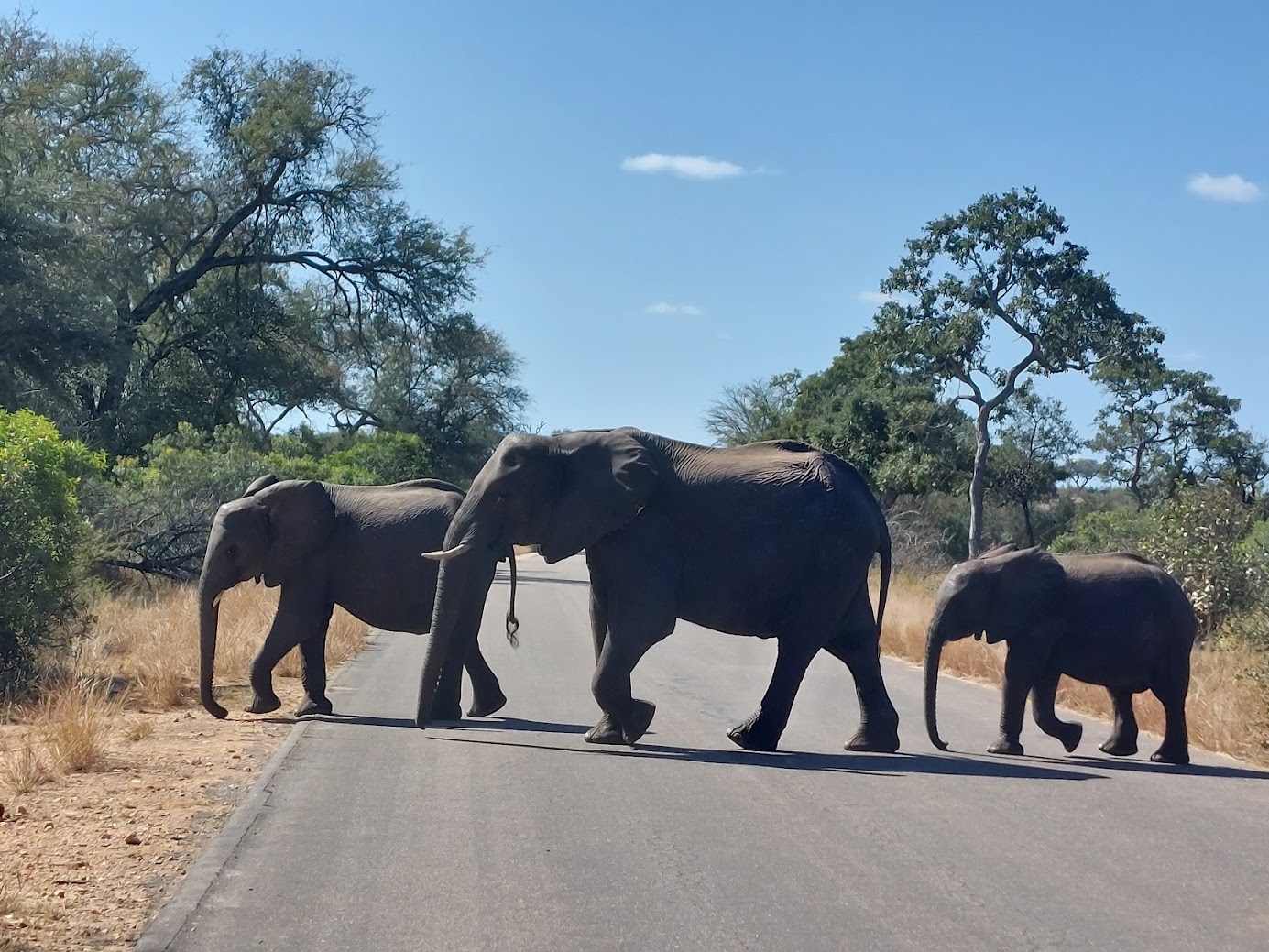Zuid-Afrika: voorbereid op weg